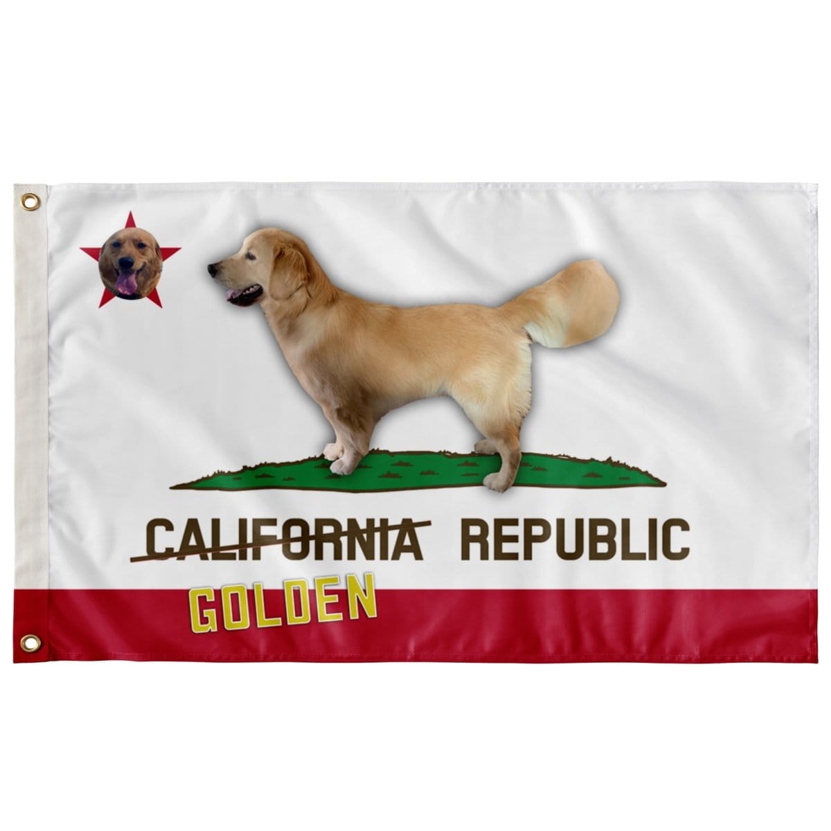 golden-retreiver-california-flag-634944.jpg
