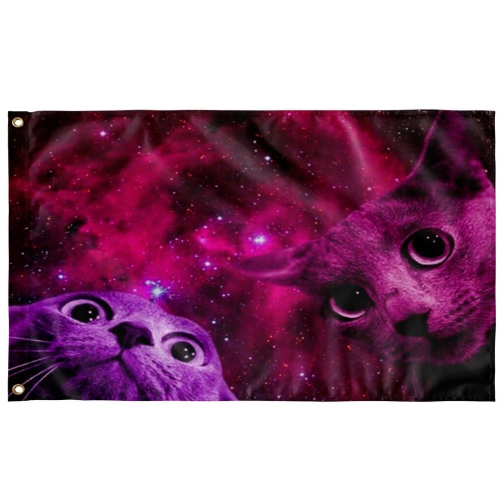 PINK TRIPPY CATS FLAG