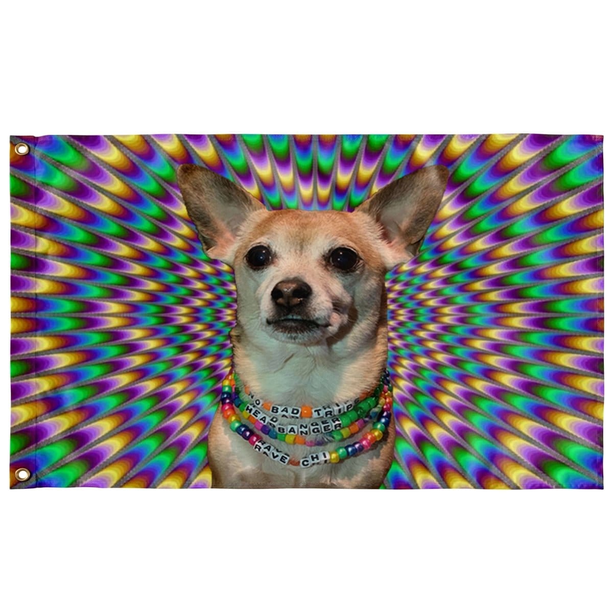rave-chi-flag-139885.jpg